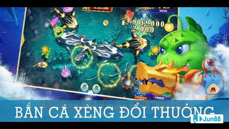 Chọn ngư trường hợp lý